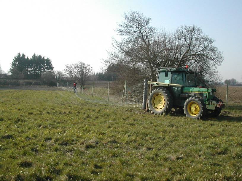 Hegnet sættes op