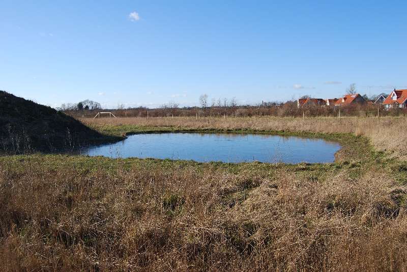 Søen med masser af vand